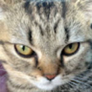 Meet your Posher, Daniella